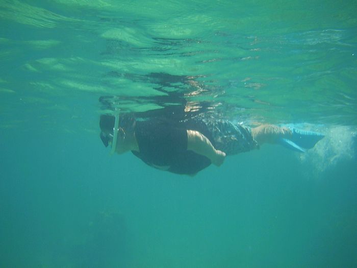 N田さんもブルーチャージ