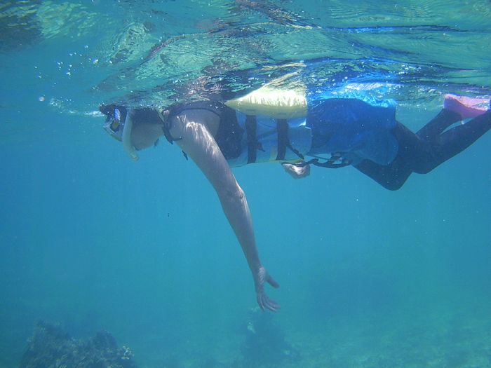 かなり慣れてきていますね