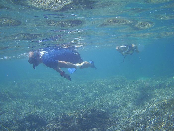 リピーターK谷さんと同じくリピーターK村さんです