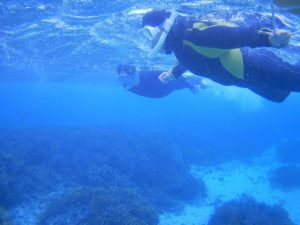 シュノーケル初心者の方でも安心！少人数ツアーはしっかりサポートです♪