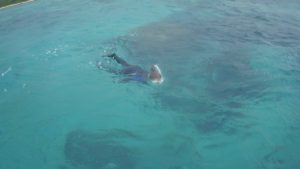 ご旅行最終日のシュノーケリングの午前に、初めてのシュノーケルの午後！