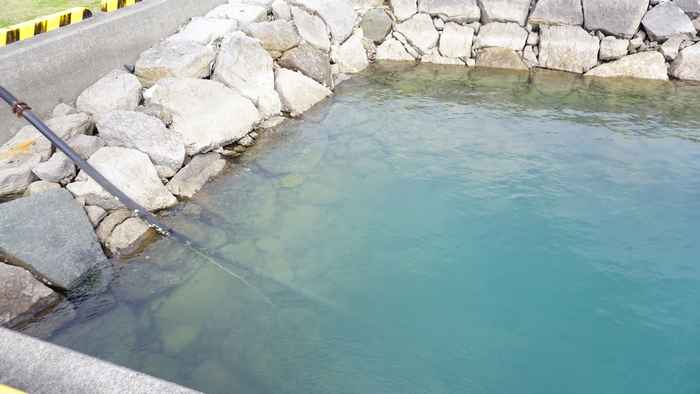 港の水面を見ると