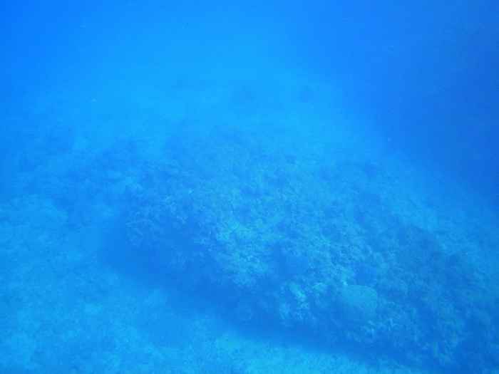 水深20mの水底が丸見えです