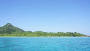 おすすめの時期は晴れた冬！シュノーケル日和は今日も続きます！