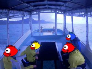 シュノーケリング前は、シロハラクイナにカンムリワシ！