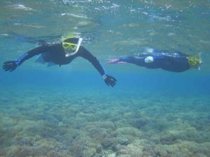 シュノーケリング前にタコノキ OR アダン？植物観察から始まるツアー♪