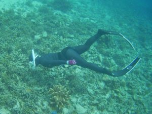 マイシュノーケルにマイマスクに、デビュー戦のロングフィン♪