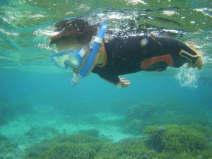 初石垣島旅行でシュノーケリング！