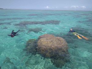 石垣島の天気はV字回復！ちびっこと楽しんだシュノーケリングツアー