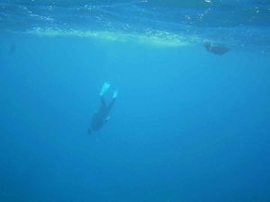 石垣島旅行、初日はシュノーケリング！いつものパターンです♪