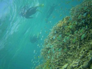 猛者の皆さんとシュノーケリング！