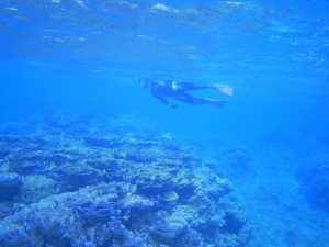 石垣島でシュノーケリング！その目的は浜下り♪