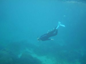 石垣島に到着日の方、最終日の方！シュノーケリングを楽しみました！