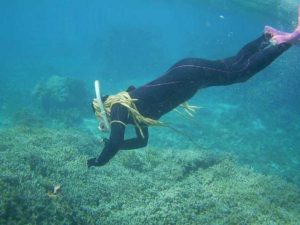 体育会シュノーケリング！それでも石垣島の海は透明度抜群です！