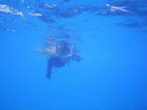 二回連続、石垣島は体育会シュノーケリング！