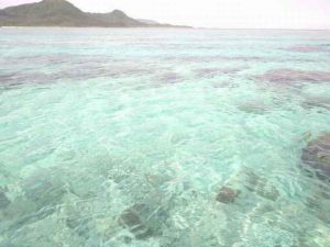 お子様(小学４年生)もニッコリ笑顔で石垣島をシュノーケリング