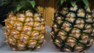 パイナップルの食べごろの見極め方ブログ