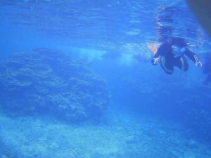 石垣島旅行、初日から家族(小学５，６年生)でシュノーケリング！