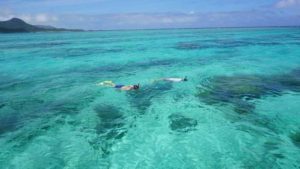 河童ゴールド免許！石垣島の水中世界を縦横無尽です！