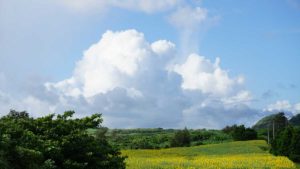 シュノーケリングの大敵は風！いよいよ梅雨明け前の強い南風の始まり？