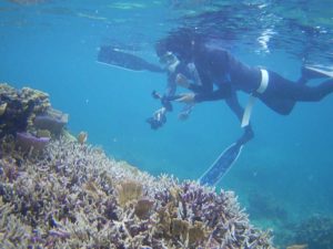 ロングフィンで石垣島をシュノーケリング！