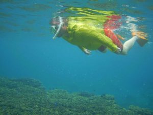 石垣島を少人数でシュノーケリング！お一人様でも楽しめます。