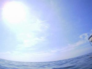 石垣島はシュノーケリング日和が続きます！