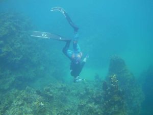 石垣島の水中世界は幼魚の季節♪シュノーケリングを満喫です♪