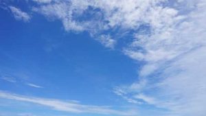 石垣島の梅雨空は青！青！島の恵みのドラゴンフルーツの蕾で元気いっぱい！