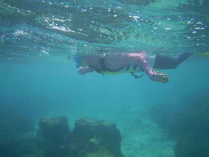 ベテランの泳ぎのお姉さん