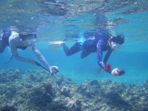 脱初心者、基本を押さえてシュノーケリング！石垣島は穏やかな海です