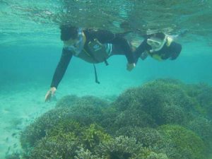 シュノーケリングツアー再開！初心者さん、レベルアップで石垣島を楽しみました！