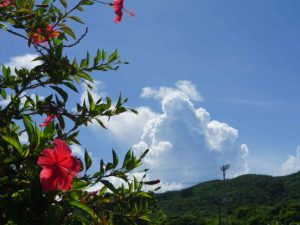 石垣島はシュノーケリング日和！夏空、夏雲、夏景色です♪