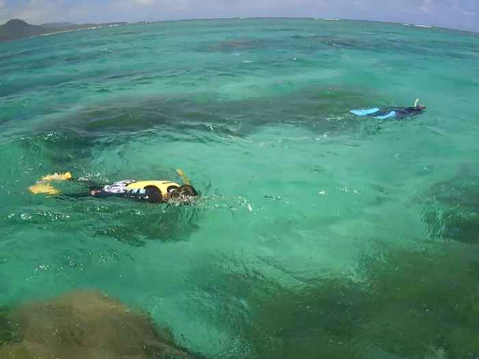 フリータイムを含め、満喫シュノーケリング