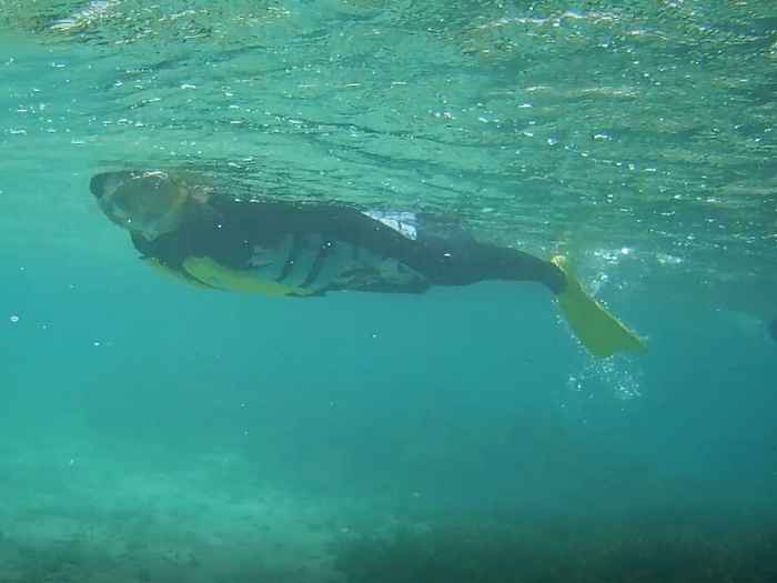 余裕の様子のO村さんです。