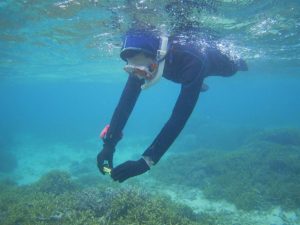 小学生以来のシュノーケリング！ブランク解消で石垣島の海を満喫！