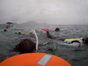 どんより空模様の石垣島！でも水中世界は華やかです♪