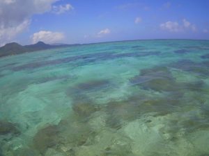 家族4人で貸切シュノーケリング♪6歳2歳のちびっこと石垣島を満喫！