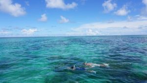 シュノーケリングのコツ、耳抜きが出来れば石垣島の水中世界はもっと楽しく！