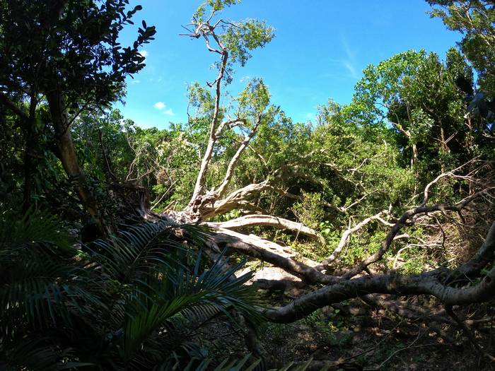 なんだかいつもより明るい
