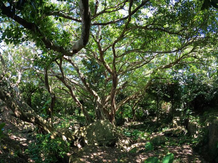 久々に岩石公園へ