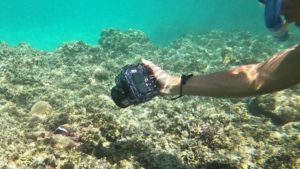 干潮時間のシュノーケリングは写真撮影に絶好のタイミング♪