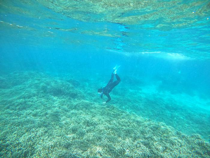 お父さんも石垣島の海を満喫