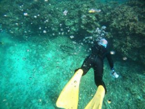 自己ベスト更新の素潜りっぷり♪