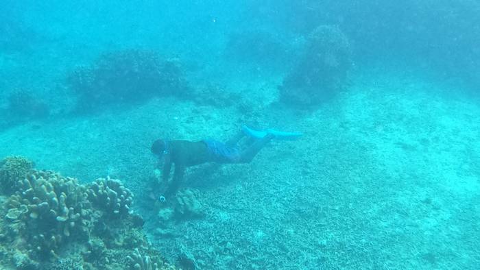 スパイダーマン潜り