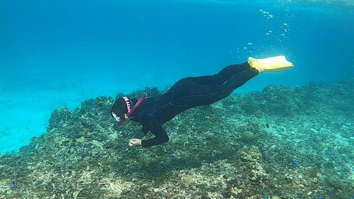 お母さんも素潜り