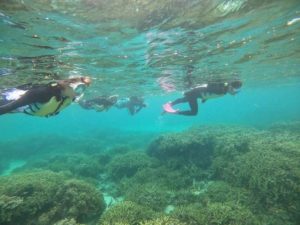 シュノーケリング初心者さんにお子様のマスクデビュー！