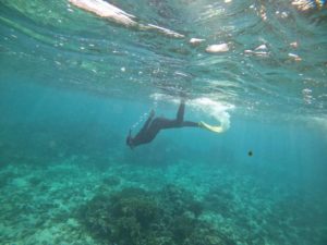 10数年ぶりのシュノーケリング！枠を広げてスキンダイビング