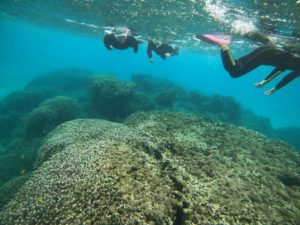 石垣島は雨！とはいえ満足度高く楽しんだシュノーケリングツアー！