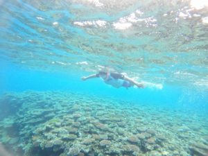 石垣島旅行初日からアクセル全開シュノーケリング♪